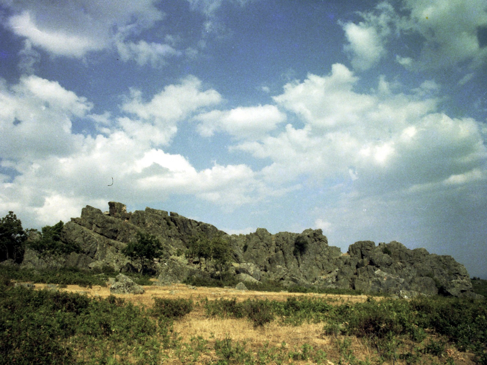 Guadalajara paso a paso Imágenes del Bosque Petrificado de la sierra