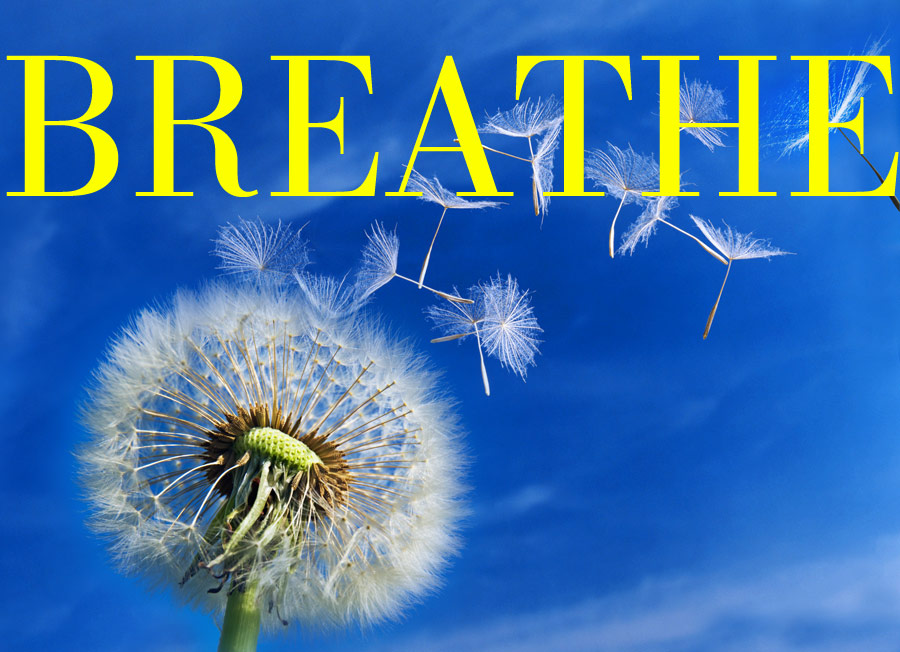 The Mrs. The Mommy. The M.D. A Breath of Fresh Air...