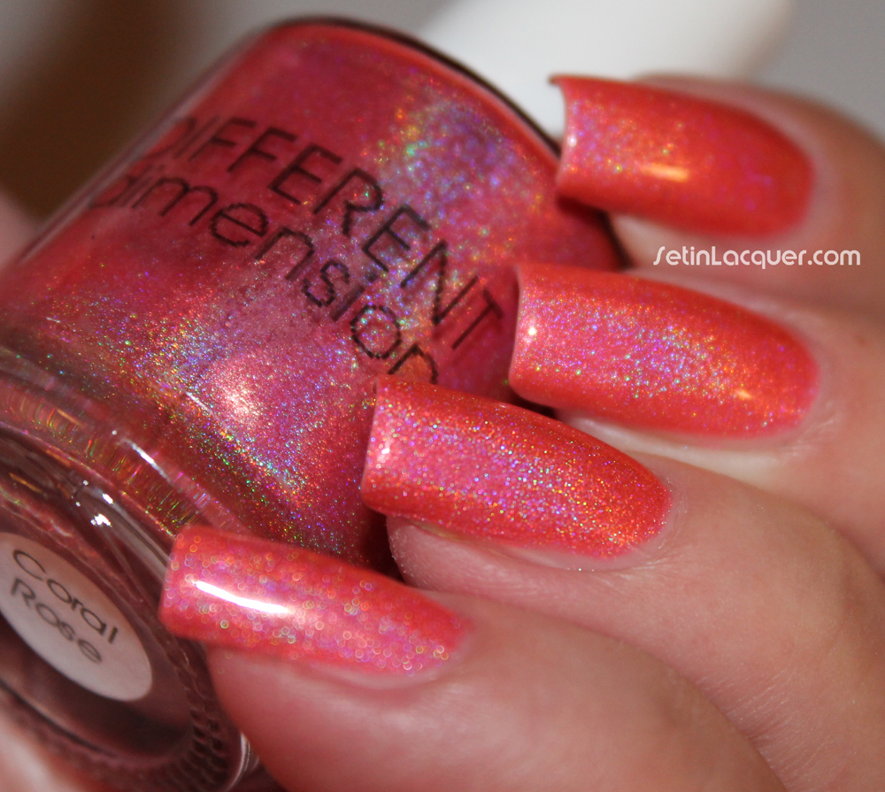 Different Dimension - Coral Rose Different Dimension - Coral Rose