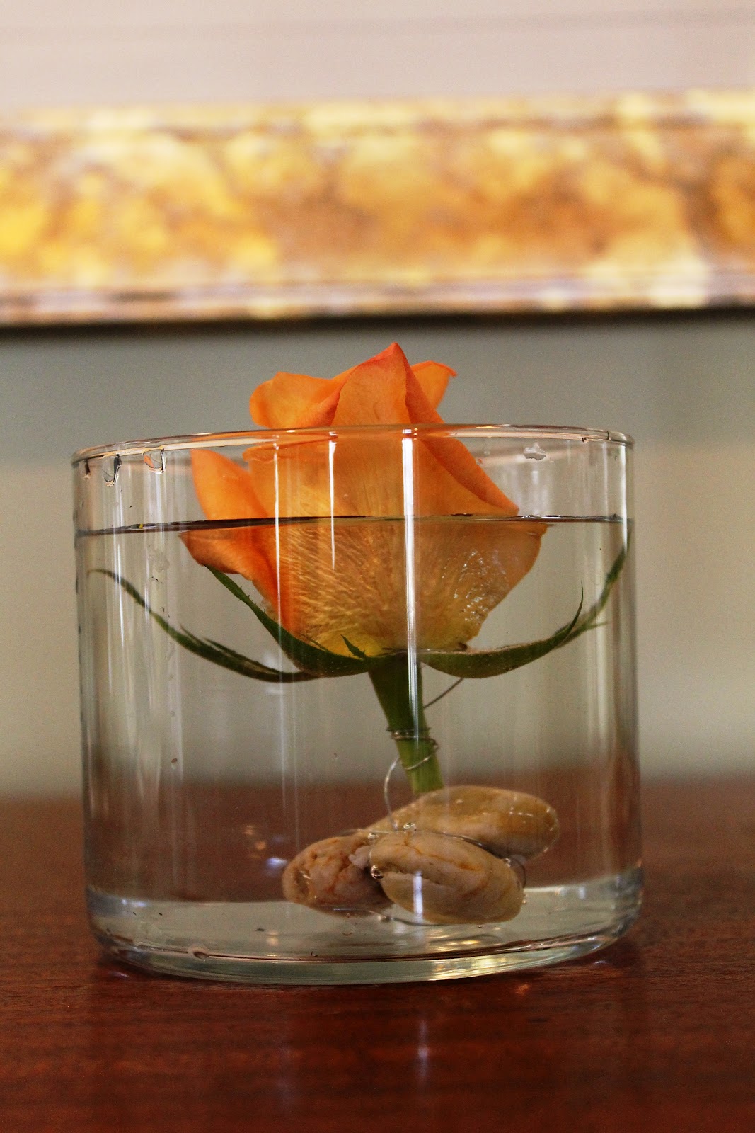 Submerging Flowers Miss Kopy Kat