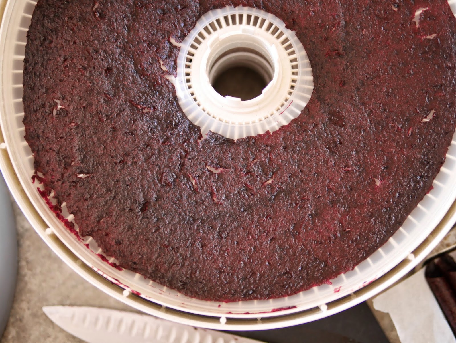 CherryApple Fruit Leather Backwoods Mama