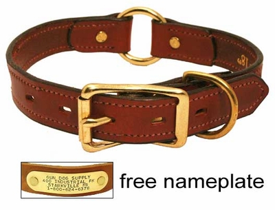 Gun Dog Collar Name Plate Gun Dog Collar Name Plate