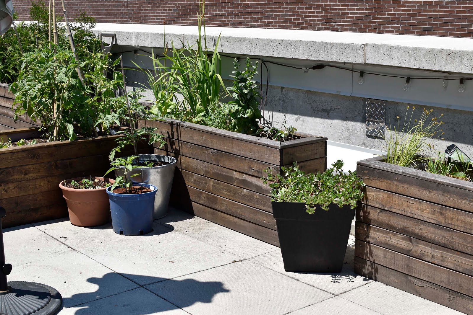 Urban Planter Boxes