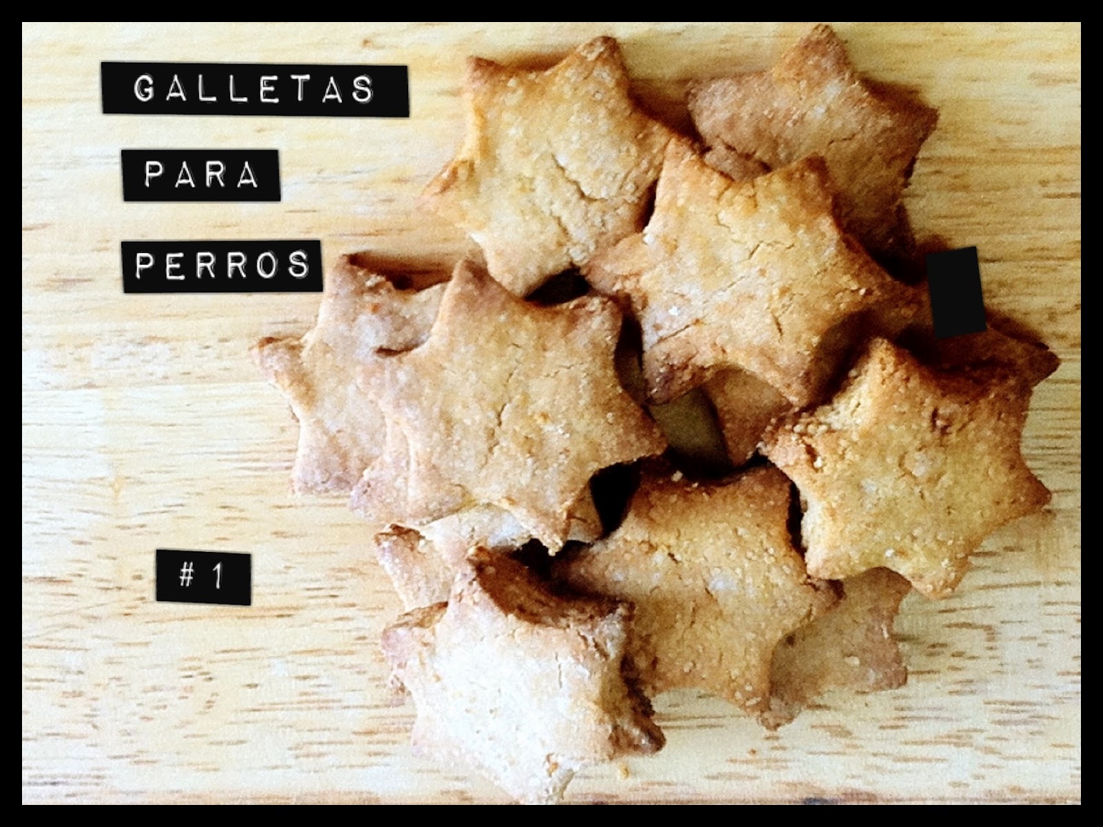 Made in Yssa Galletas para Perros 1