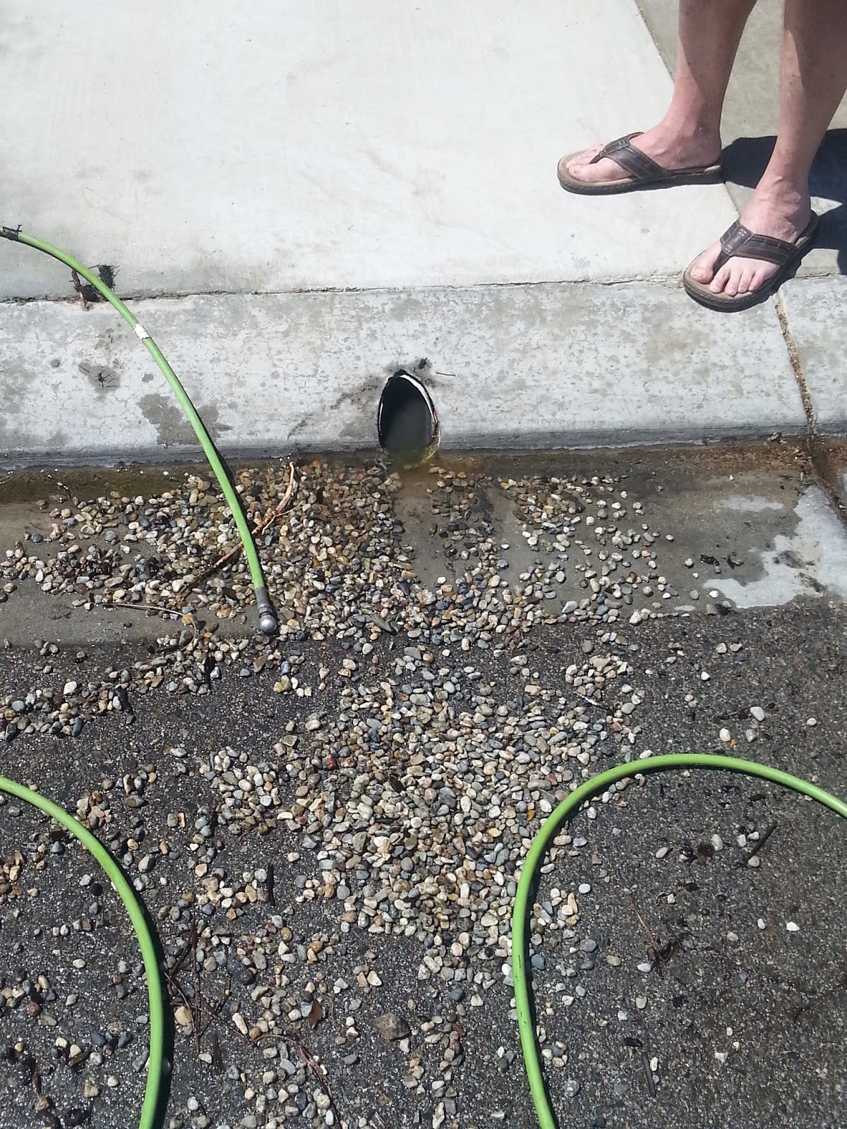 Sewer And Drain Cleaning FAQs About Hydro Jetting Landscape Sewer And Drain Cleaning FAQs About Hydro Jetting Landscape