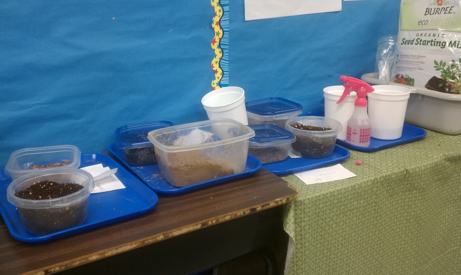 Science Gal Real World Project...erosion