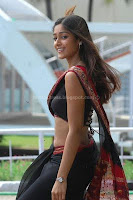 Ileana, telugu, actress, hot, pics, gallery