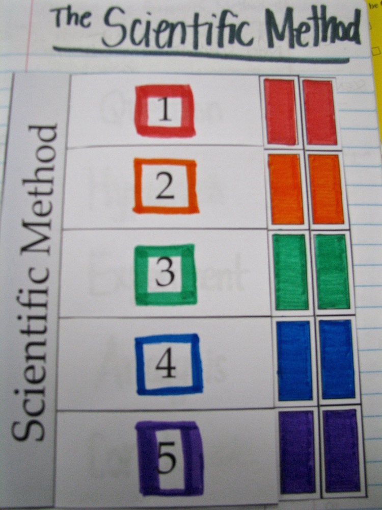 Teaching the Kid The Scientific Method Foldable