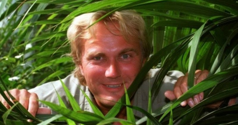harald treutiger 24 karat harald treutiger 24 karat