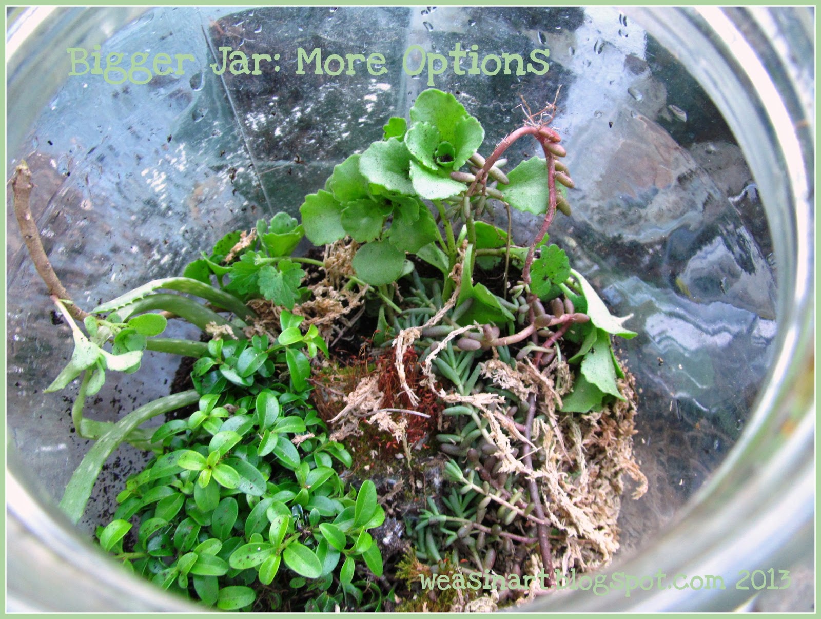 weasinart Sunday Funday DIY Terrariums & Rock Gardens