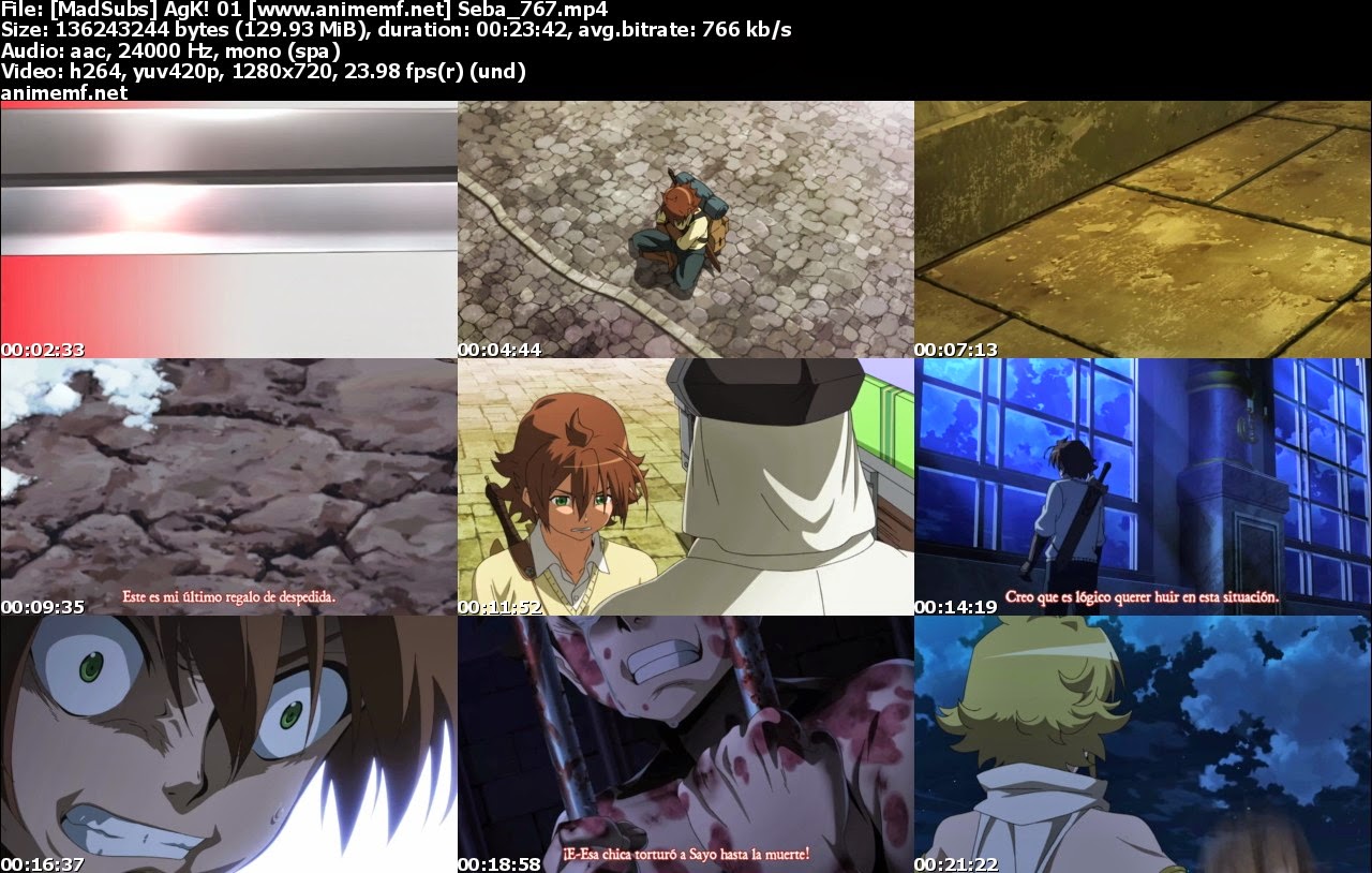 Akame ga Kill!