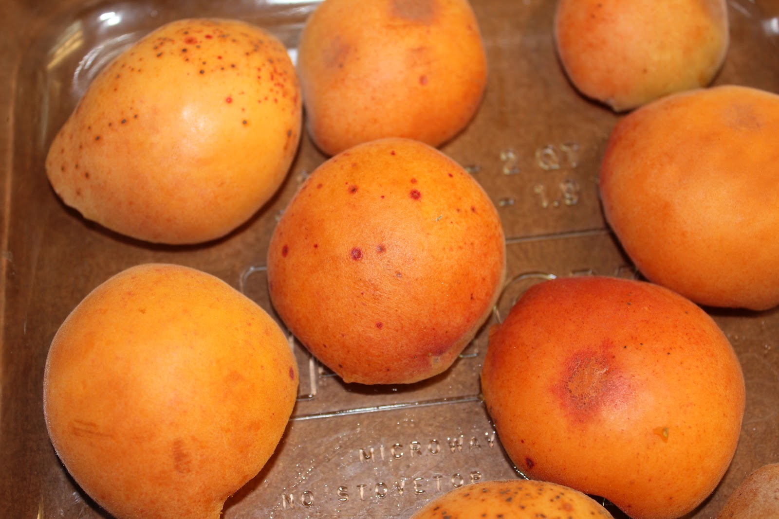 Baker Mama Love Apricot Baby Food