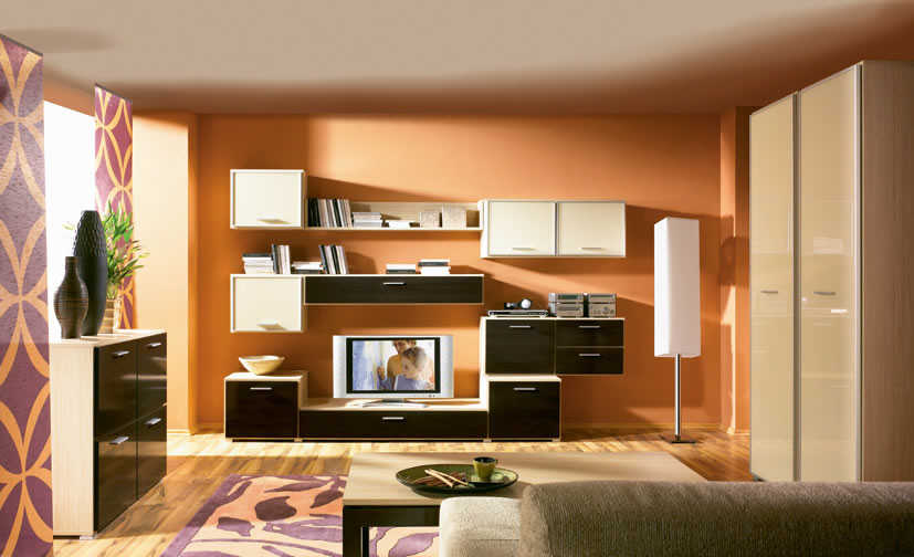 Living room modren minimalist color