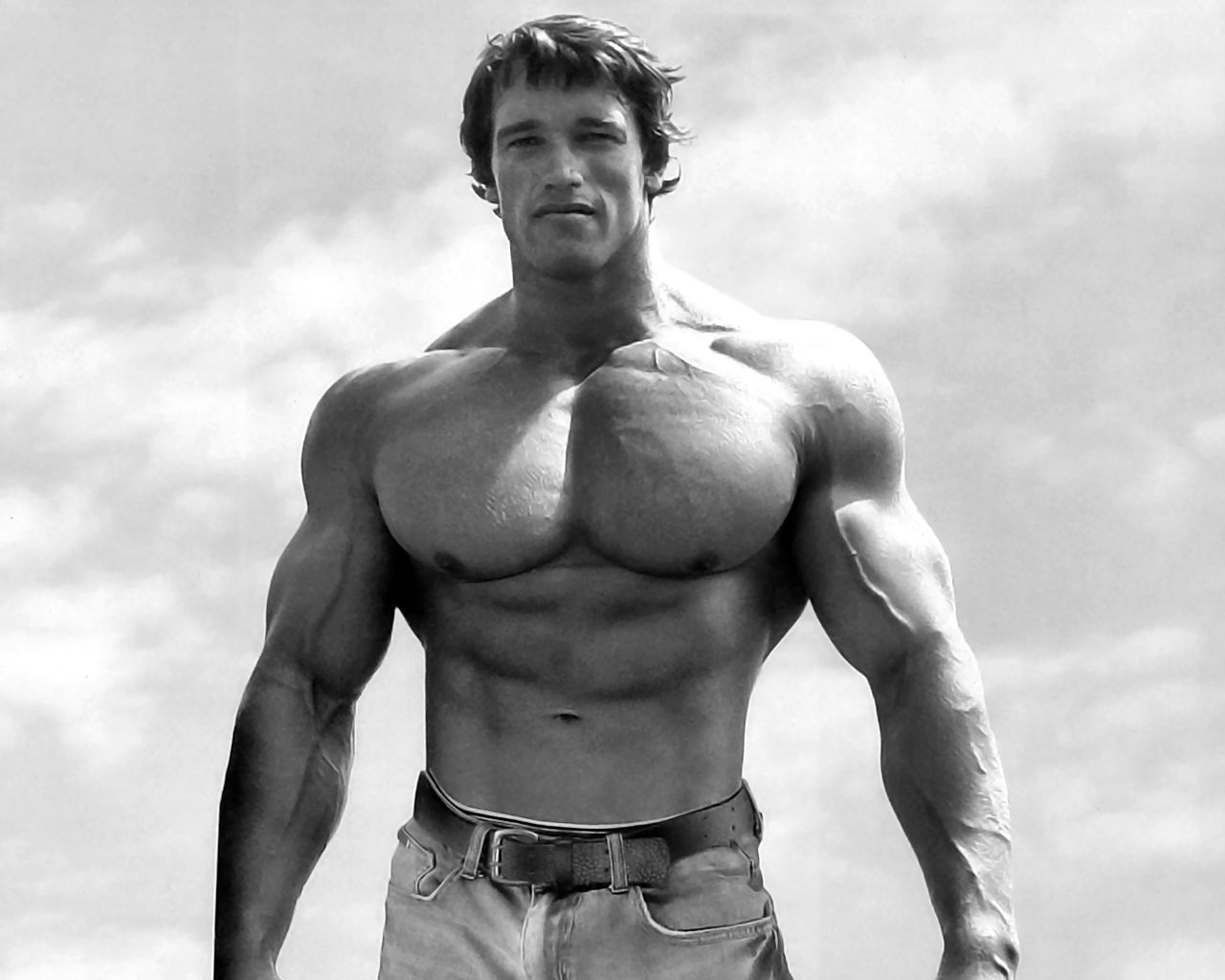 http://4.bp.blogspot.com/-a77bEtz0S48/USJ5cZL_ByI/AAAAAAAAFD8/LHJ_JWbYCOU/s1600/Arnold+Schwarzenegger+0.jpg