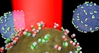 Cancerous and Non-cancerous Cells are Incubated with Silver Nanoparticle Biotags