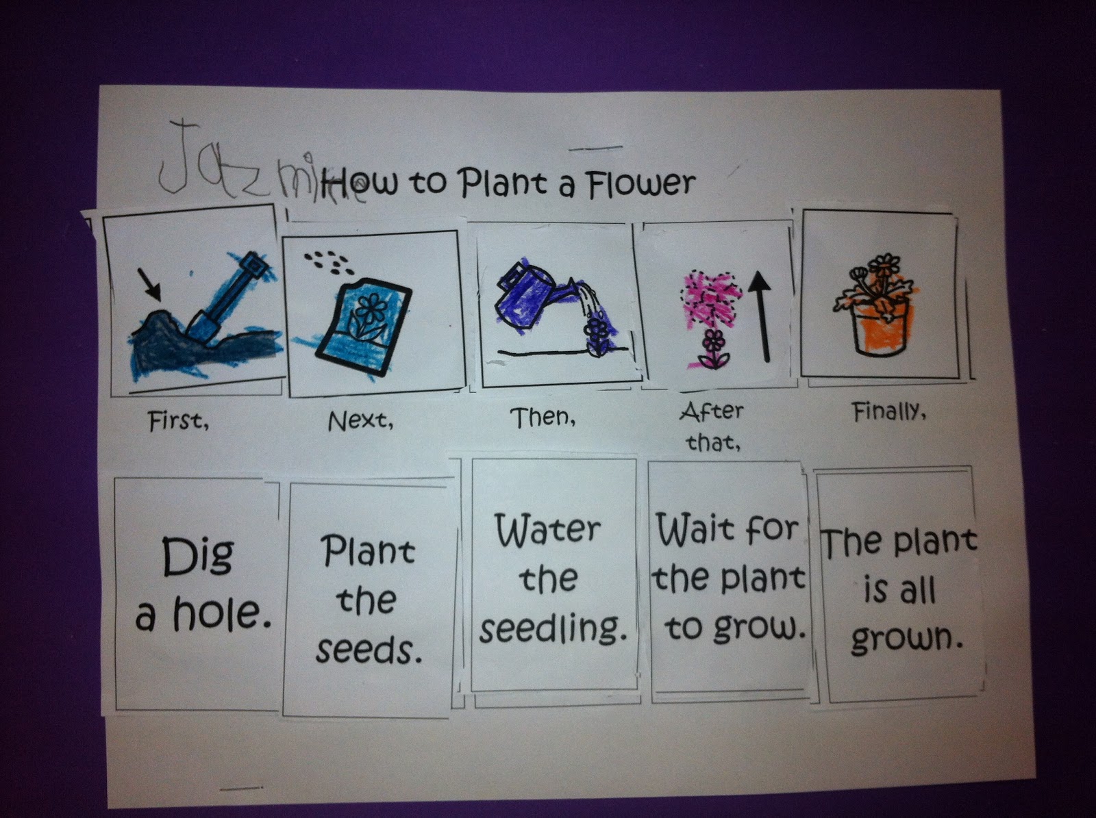 How to Plant a Flower Flow Map » Autism Adventures