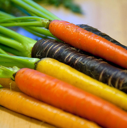Multi Coloured Carrots