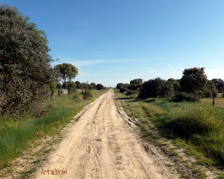 La calzada a su paso por Pradofeo