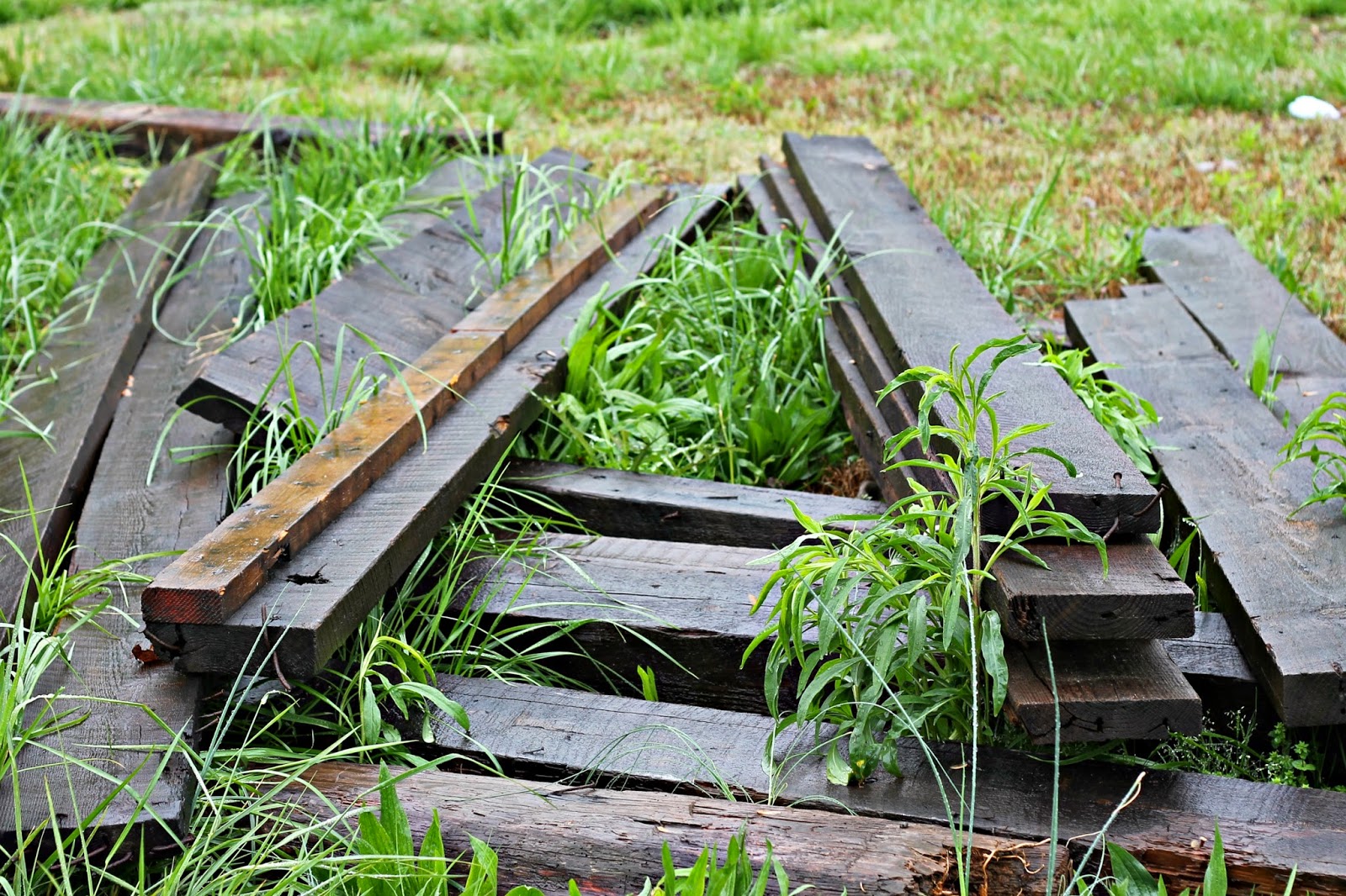 LAURA COX Old House Salvage