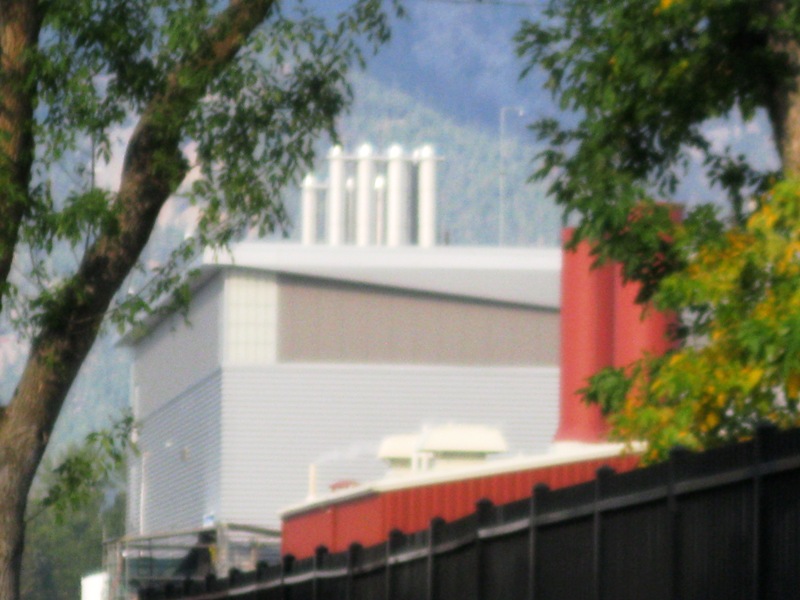 The Big Picture NIH Fraud