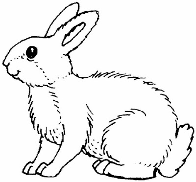 White Rabbit Coloring Pages
