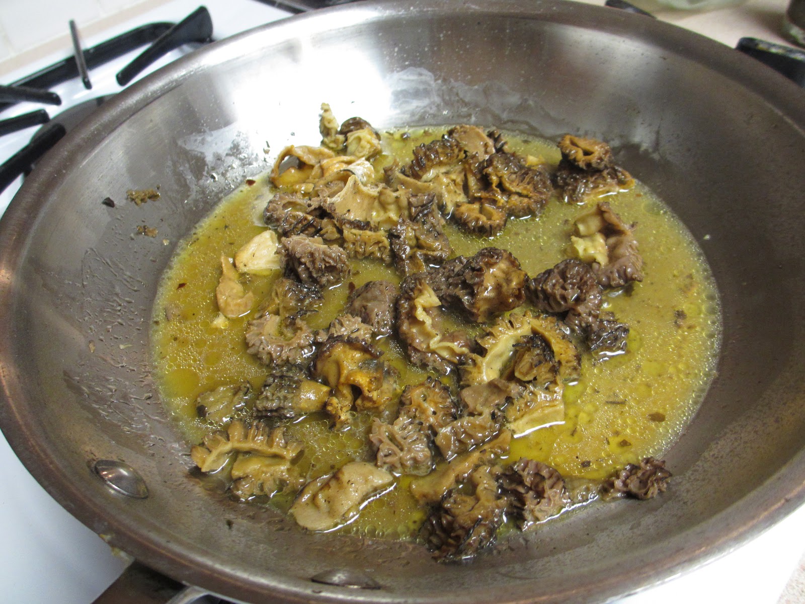 Cannundrums Morel Mushrooms