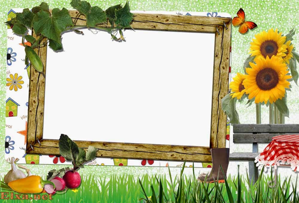 photoshop frames wallpapers free downloads beautiful foto frame free download