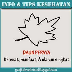 Manfaat Daun Pepaya Untuk Kesehatan Manfaat Daun Pepaya Untuk Kesehatan