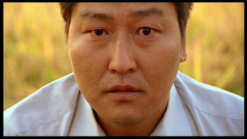 Wide Eyed Wonders Memories Of Murder Wide Eyed Wonders Memories Of Murder