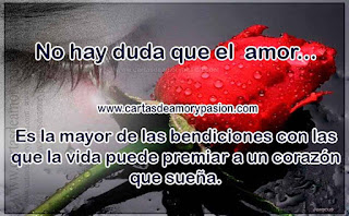 Las lagrimas más saladas que humedecen mi cara. Cartas de amor