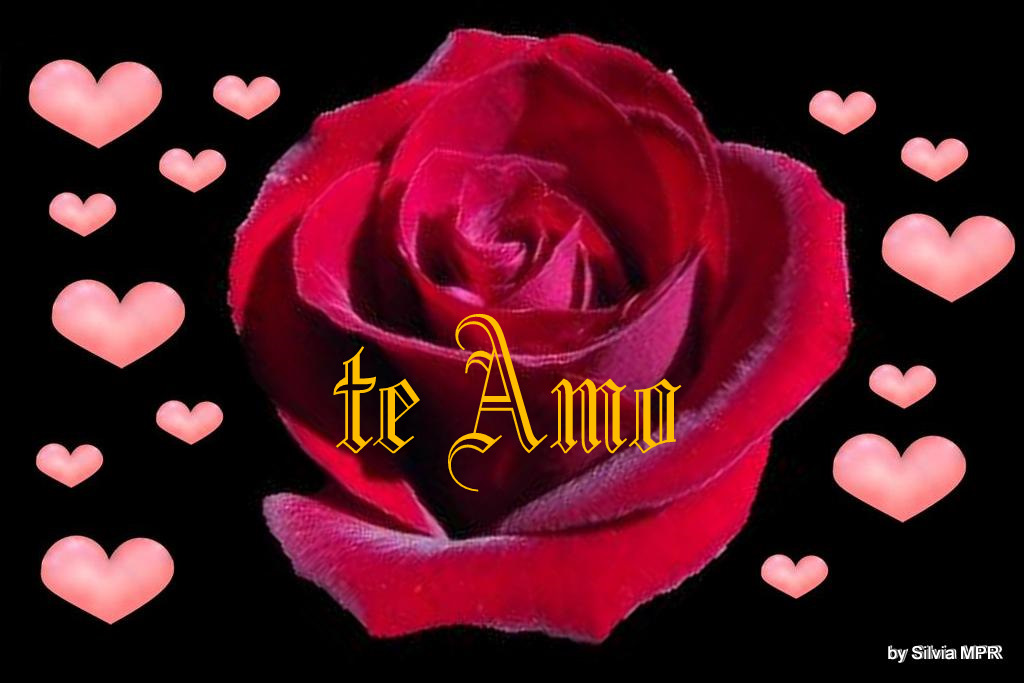 Imagenes De Corazones Con Rosas Rojas
