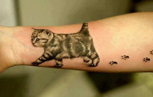 3d cat tattoo on arm