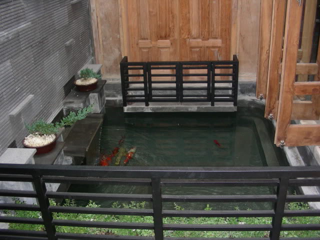 Damplenk Koi Purwokerto Kolam Ikan Damplenk Koi Purwokerto Kolam Ikan