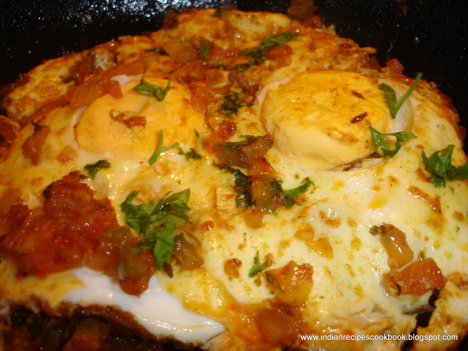 Delicious Indian Recipes and more from around the world!: Anda Fry