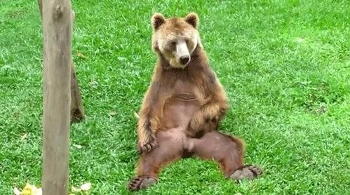 [Imagem: Co%C3%A7ando+o+Saco.gif]