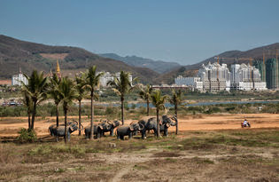 China, stenen olifanten in Xishuangbanna