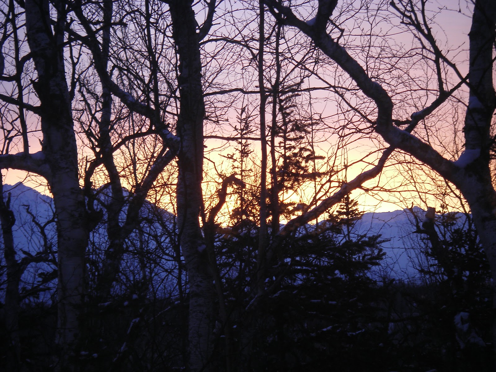 House For Sale MatSu Valley Alaska