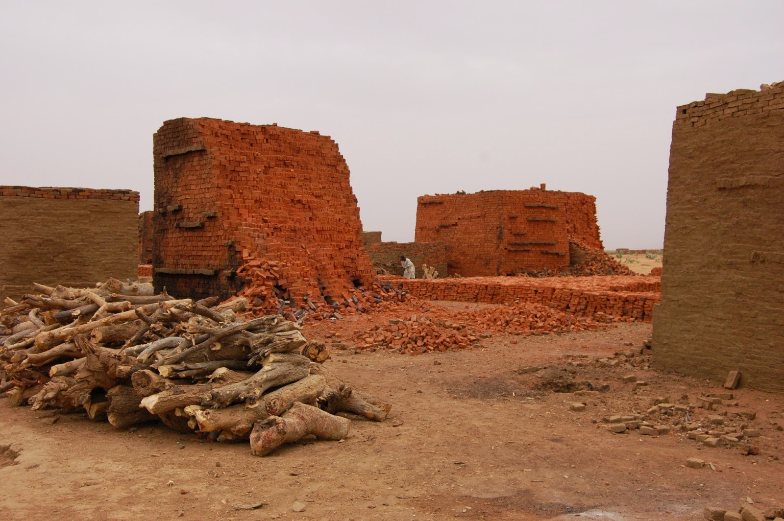 Taste of Torah December 2013