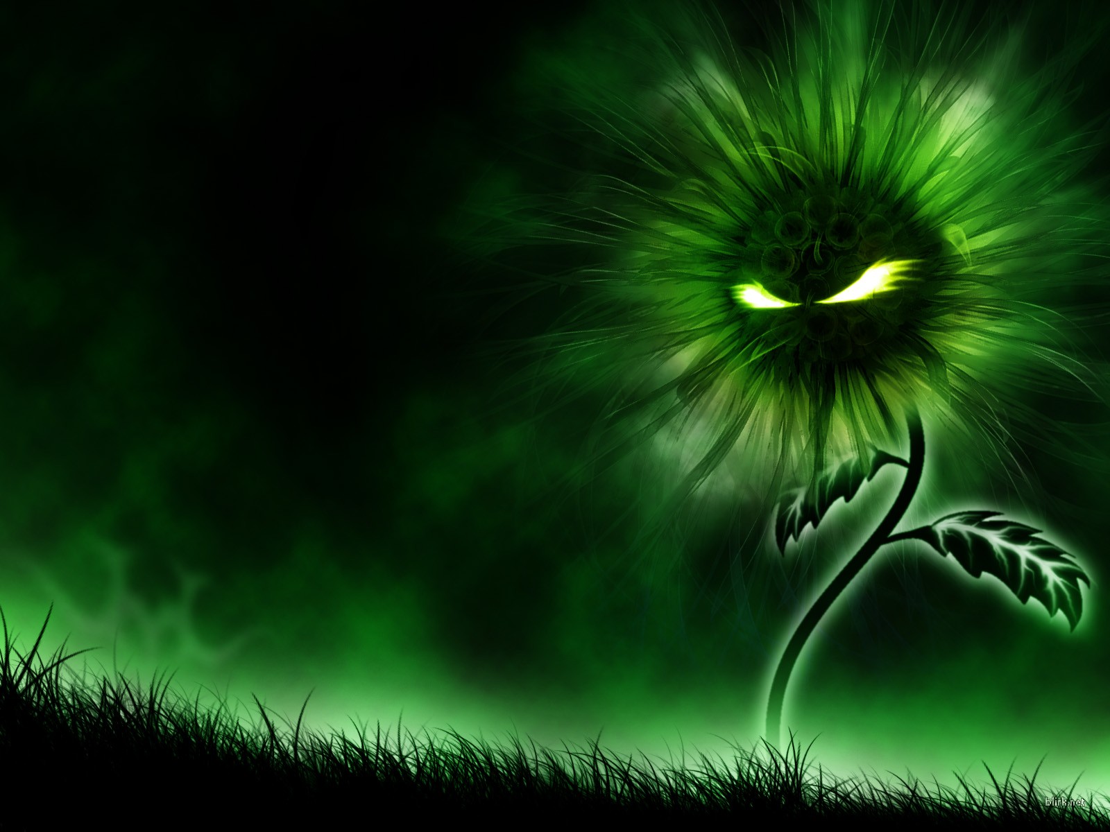 cool wallpapers: Cool Wallpapers