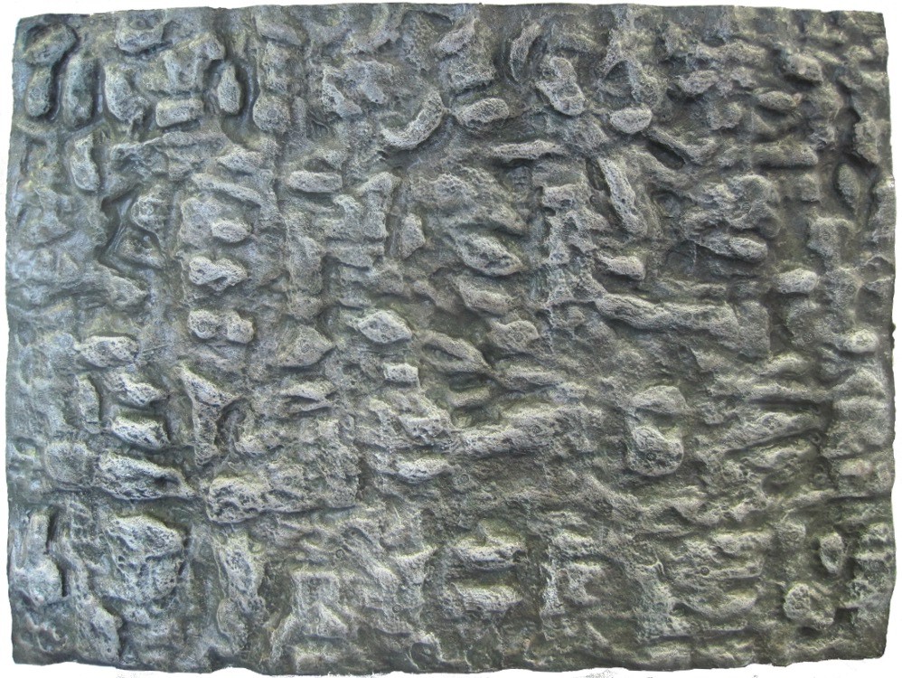 3d Background Aquarium Rock Background Desktops Pics