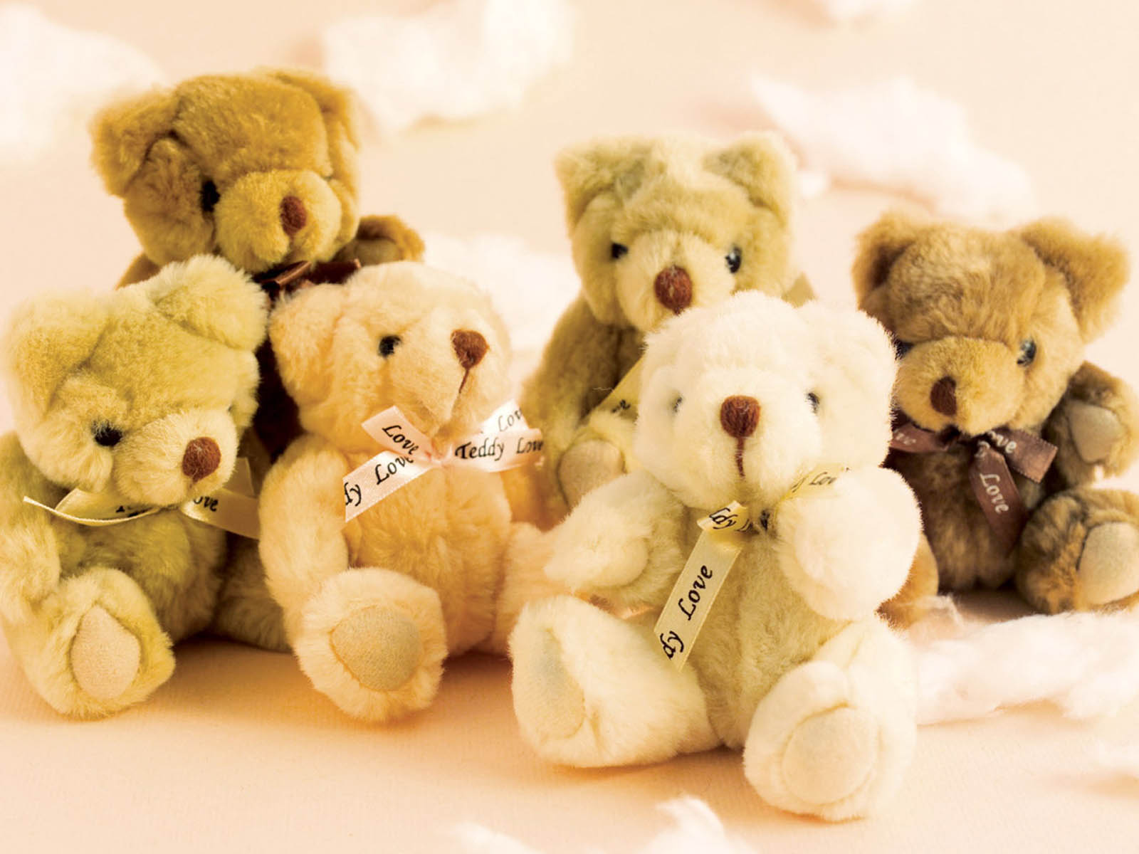 HD Wallpapers Teddy Bear Pictures