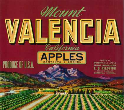 Free Cross Stitch Flower Patterns вЂ“ Catalog of Patterns