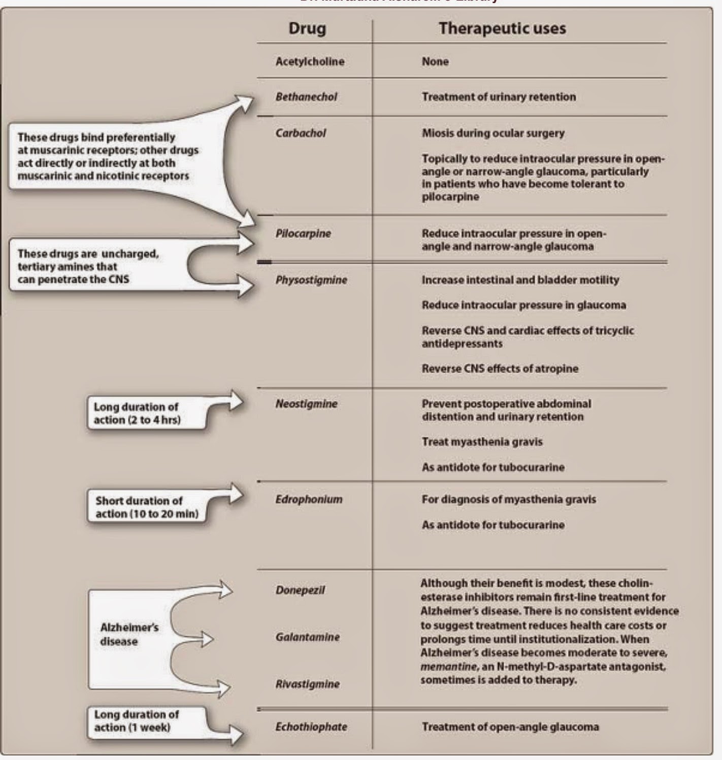 Pharmacological Blog Cholinergic Agonists
