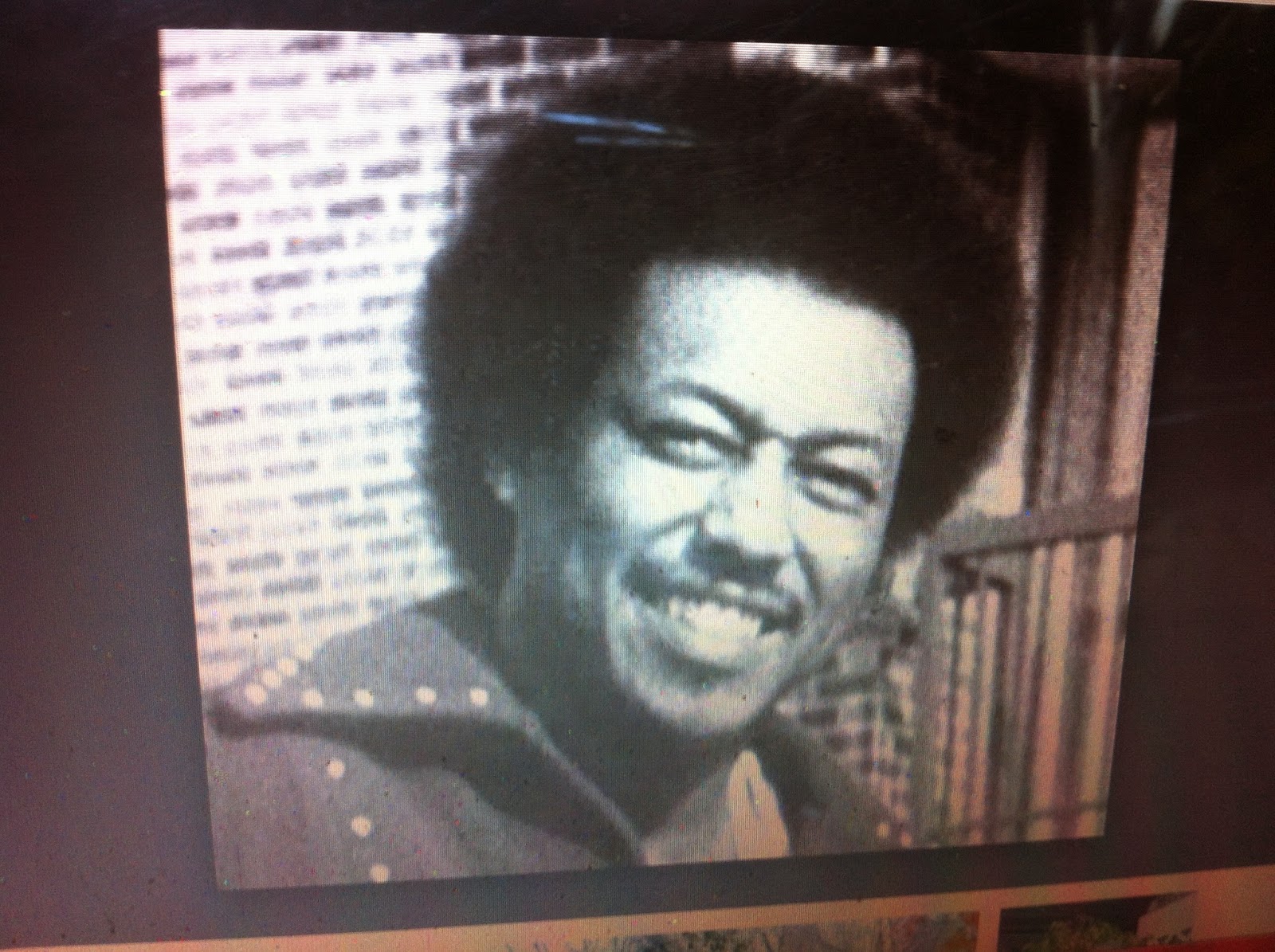 THE BLACK SOCIAL HISTORY BLACK SOCIAL HISTORY AFRICAN AMERICAN