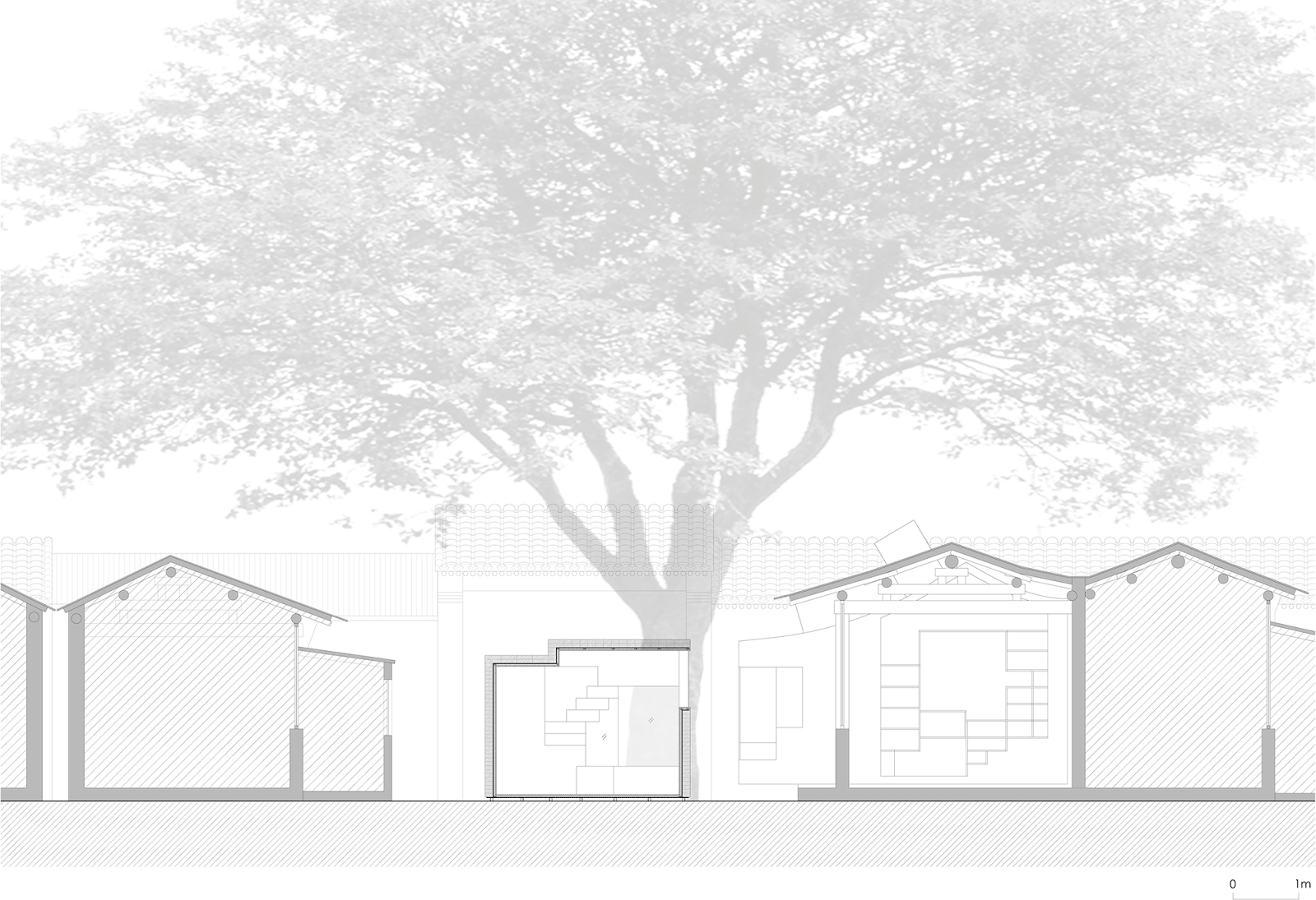 a f a s i a Standard Architecture