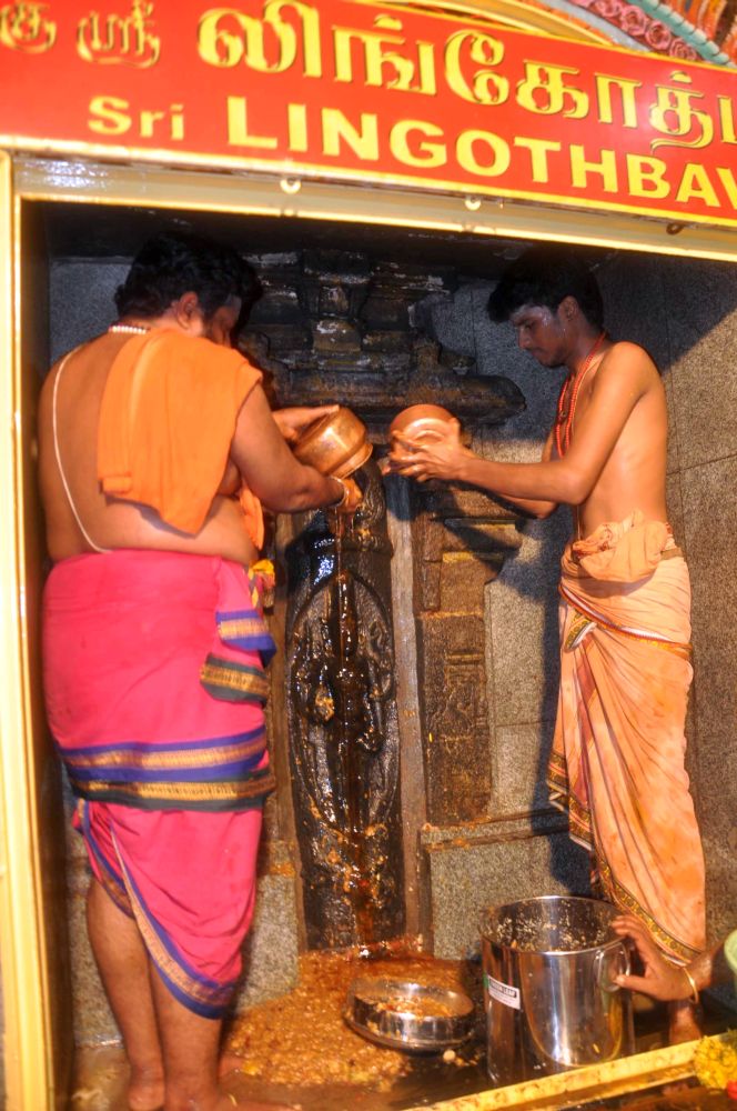 ARUNACHALA GRACE Lingodbhavamurti Puja and the Ketaki Flower