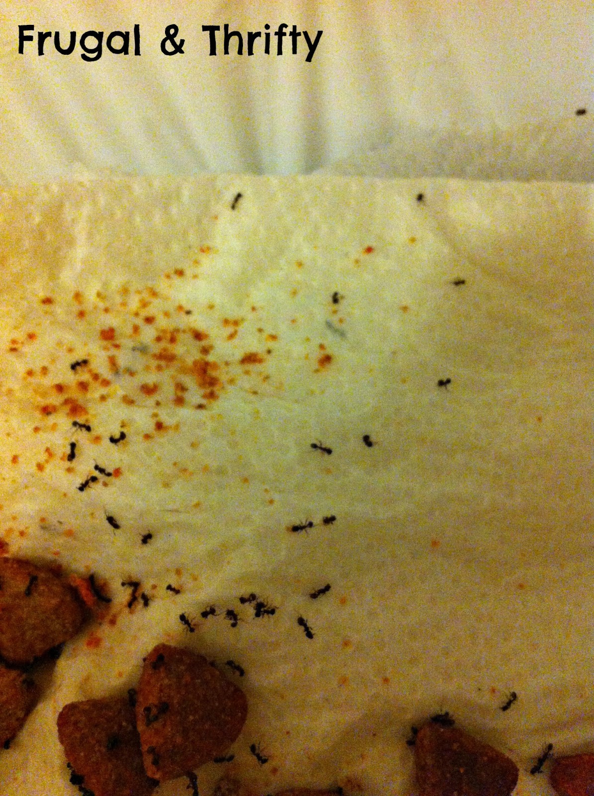 Frugal & Thrifty Ant Killer Spray