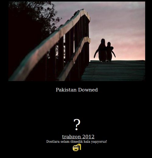google pk search