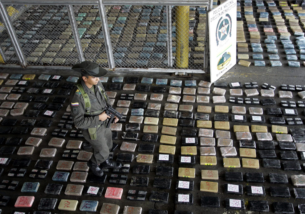 essay on the mexican drug war essay on the mexican drug war