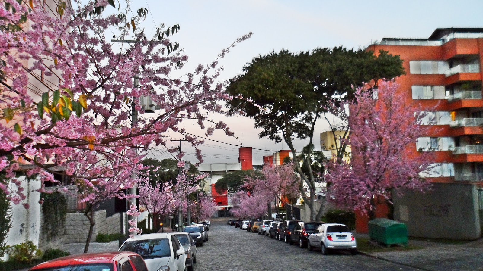 AlcBlog ''Rua das Cerejeiras'', Curitiba...